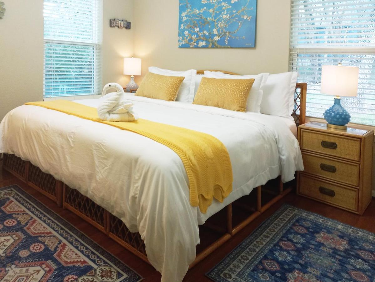 Apartamento King Bed In Relaxing Oasis, With Free Snack/Wi-Fi/Parking San Marcos Exterior foto
